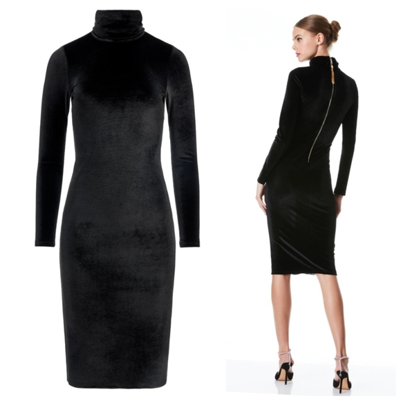 Alice + Olivia DELORA VELVET TASSEL BACK MIDI DRESS SIZE 4 - Picture 1 of 13